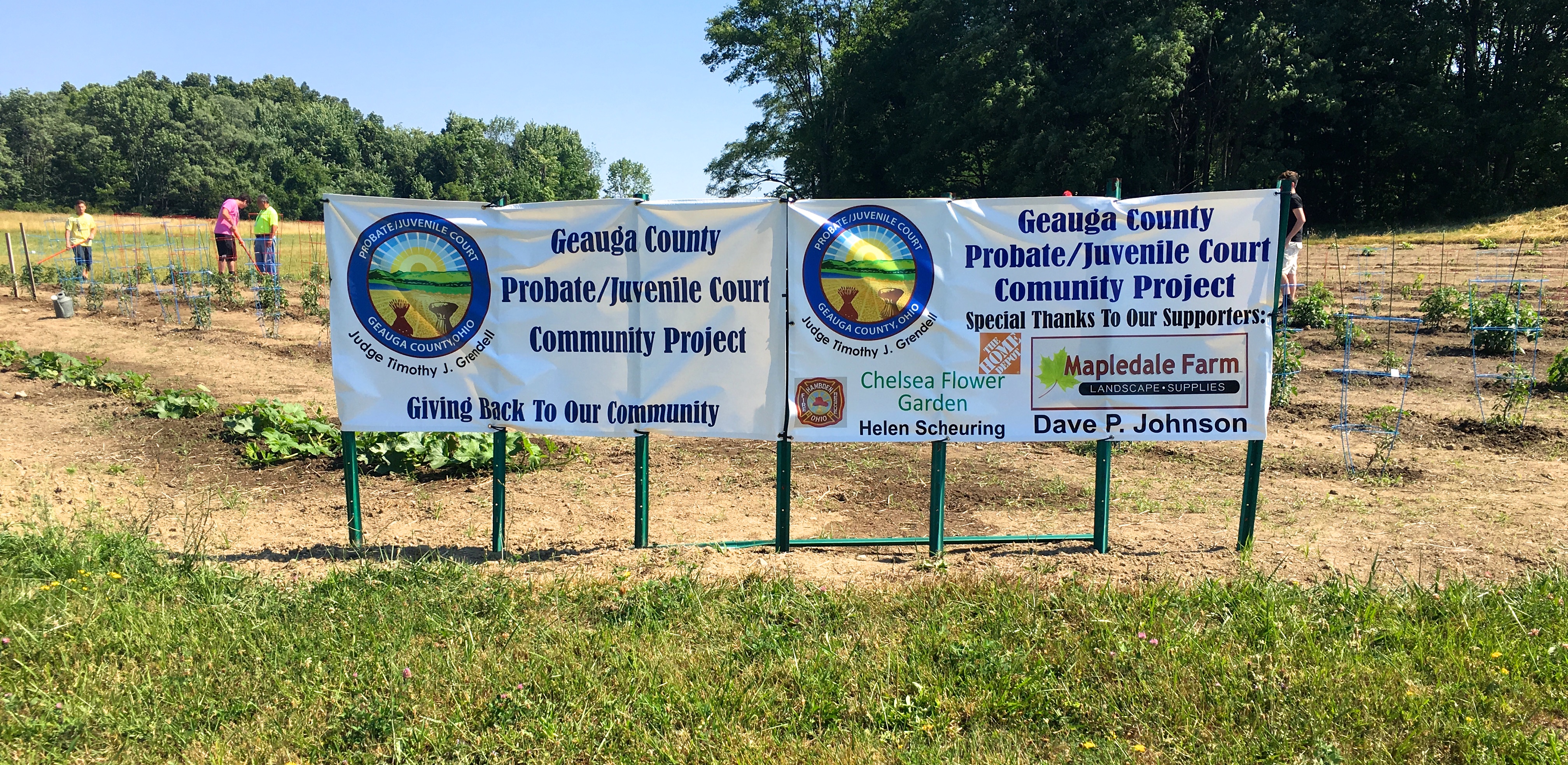 juvenile court's community service garden donates record harvest to