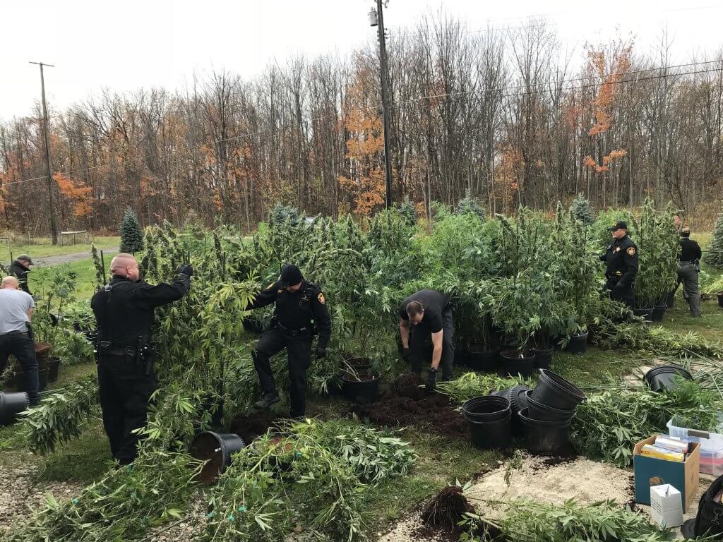 Sheriff’s Office, DEA Bust Massive Indoor Marijuana Grow Operation