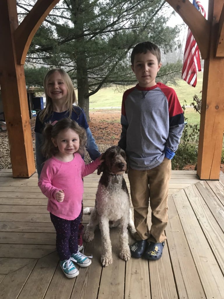 Deputy Rescues Dog from Icy Newbury Pond (w/ Dash Cam Video) Geauga